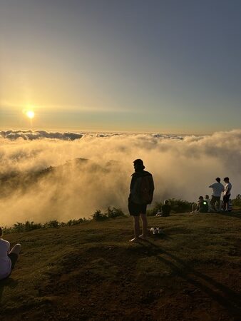 IMG_3290
