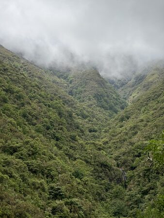 IMG_3762