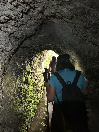 IMG_3817