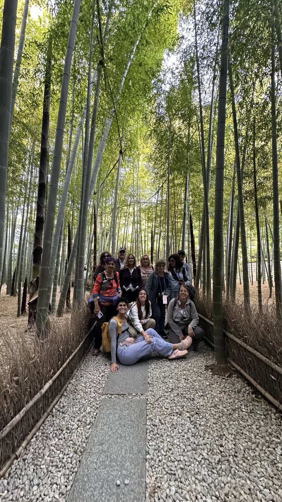 bambu