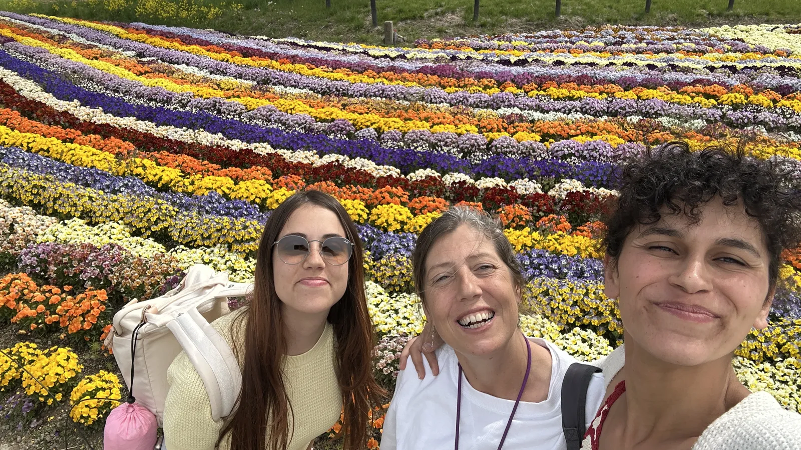 Floración Oishi Park