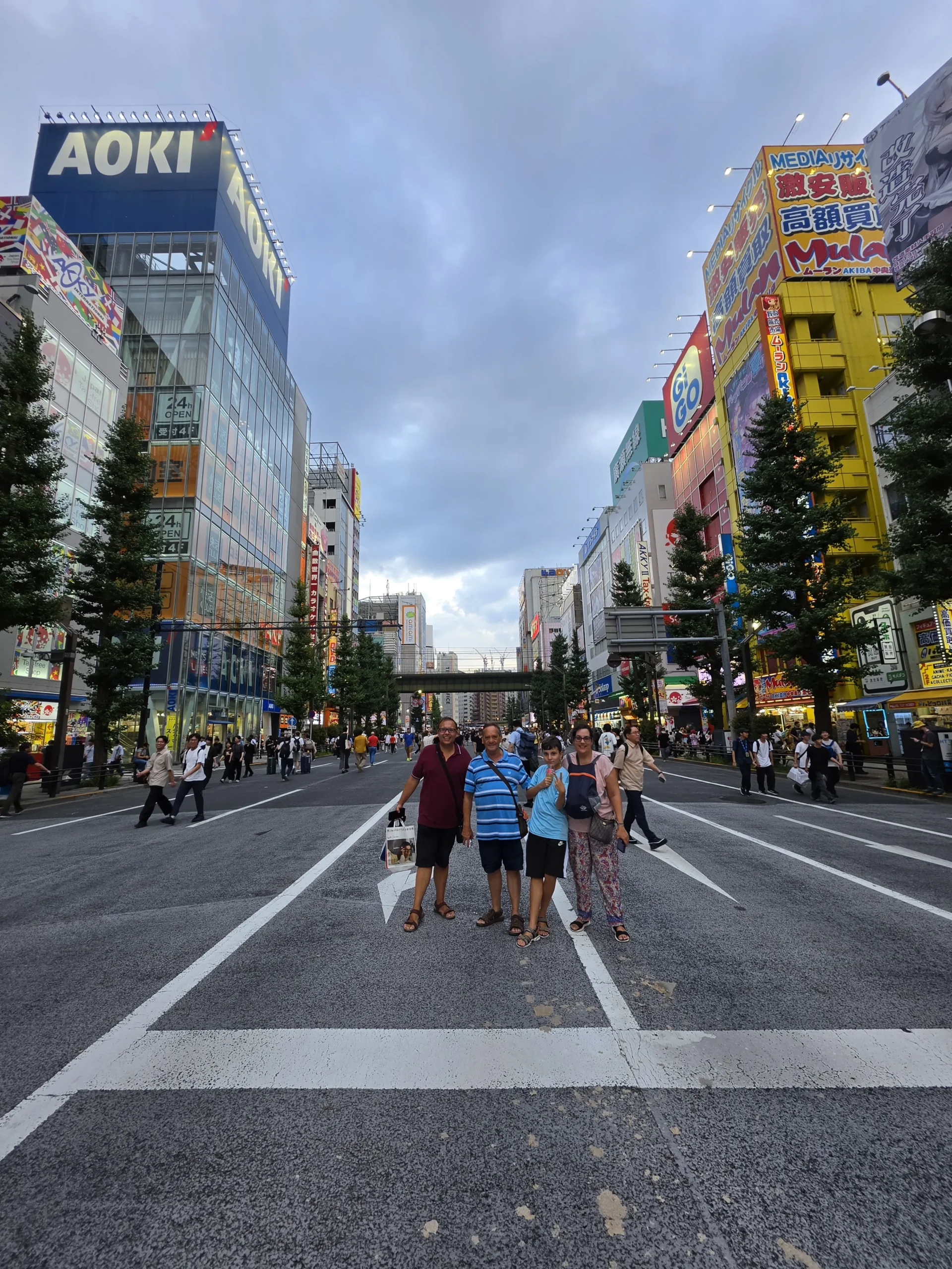akihabara calle_webp
