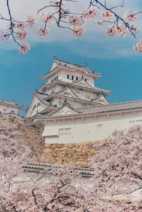 Foto del castillo himeji
