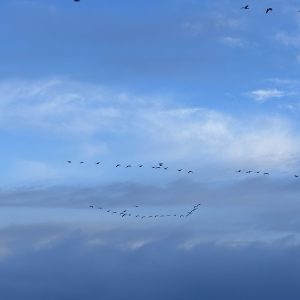 2026-04-02_19-05-58_614