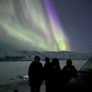 2026-04-03_22-46-13_187