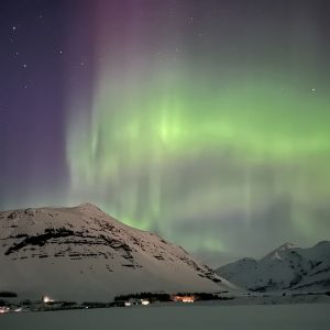 2026-04-04_00-03-20_749