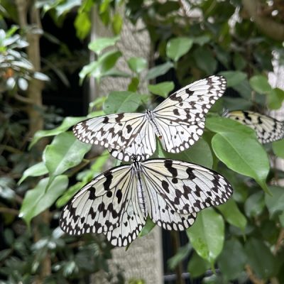 2026-04-17_12-10-53_711
