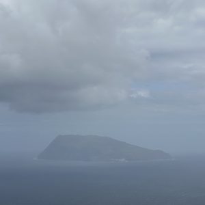2026-05-10_11-53-02_736