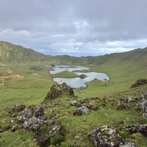 2026-05-12_08-46-58_480
