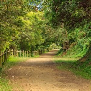 Caminho_no_Monte_Brasil,_Terceira_-_Açores