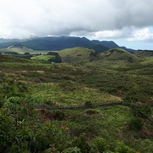 Furnas_do_enxofre_-_Ilha_Terceira,_Açores_3