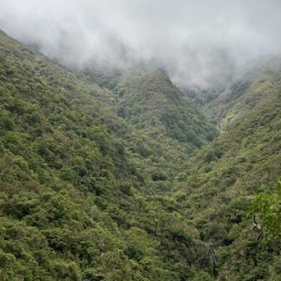 IMG_3762