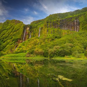 Lagoa_dos_Patos,_Ilha_das_Flores